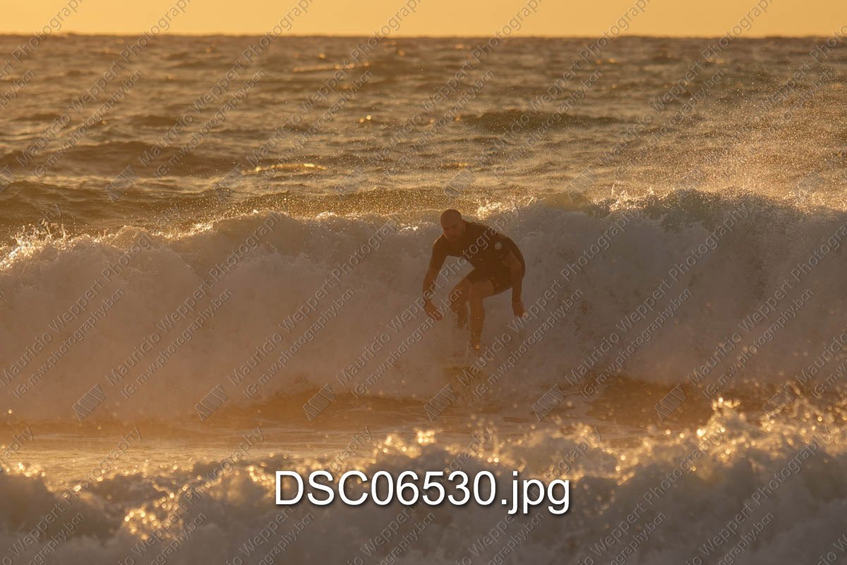 DSC06530.jpg