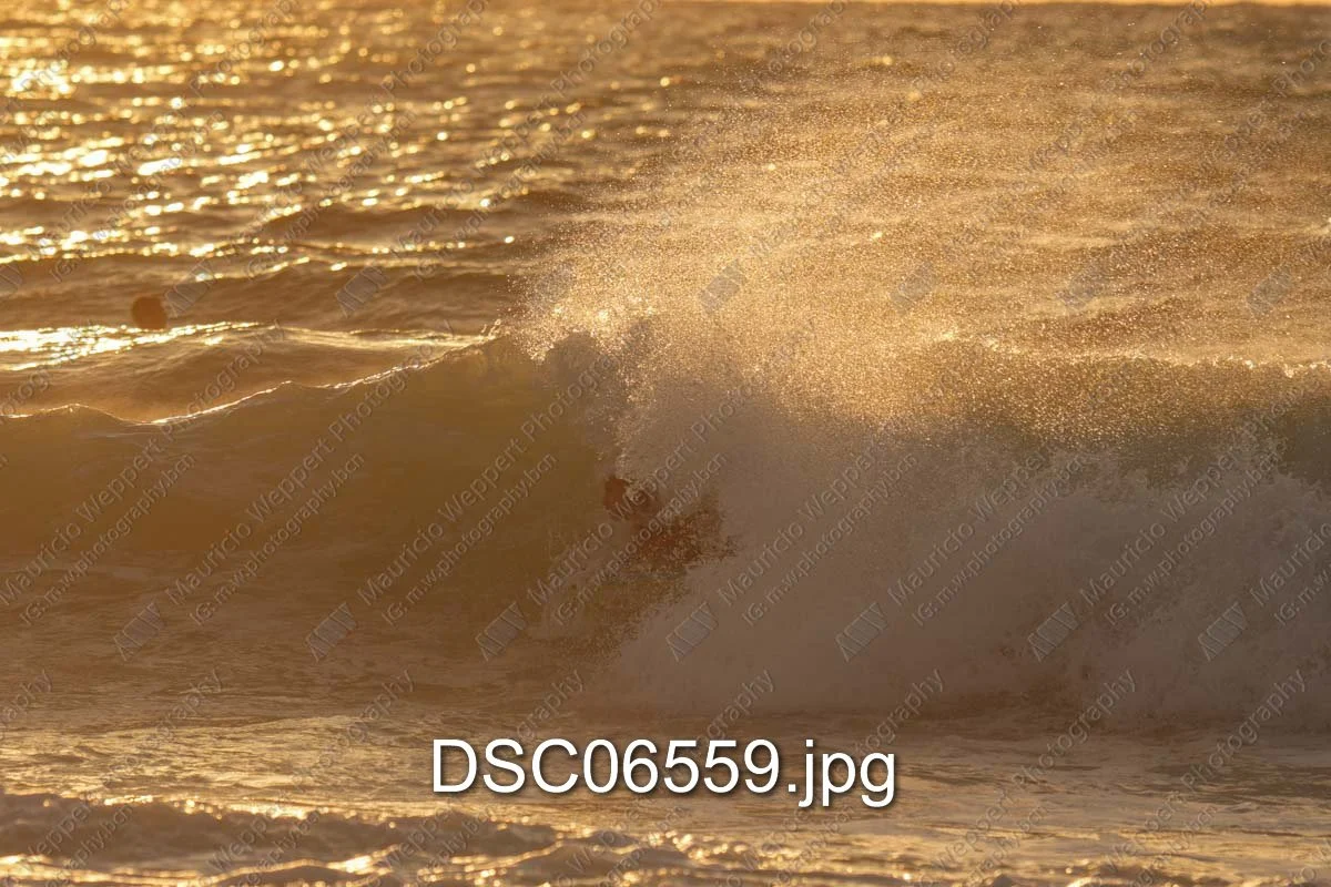 DSC06559.jpg