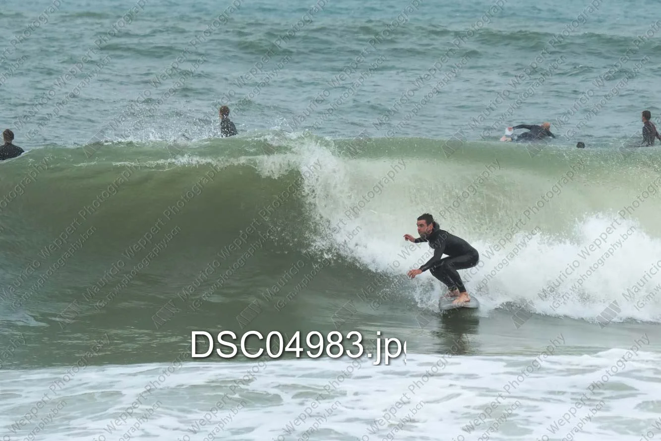 DSC04983.jpg