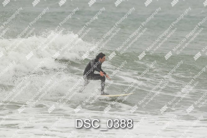 DSC_0388.jpg