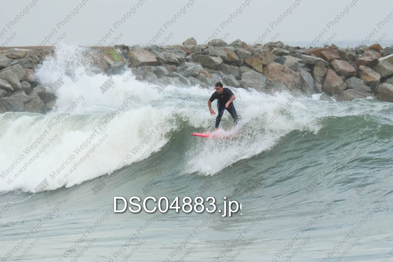 DSC04883.jpg