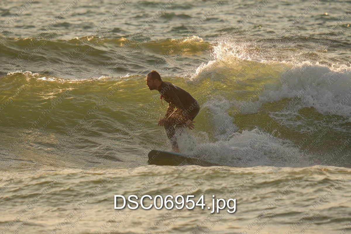 DSC06954.jpg
