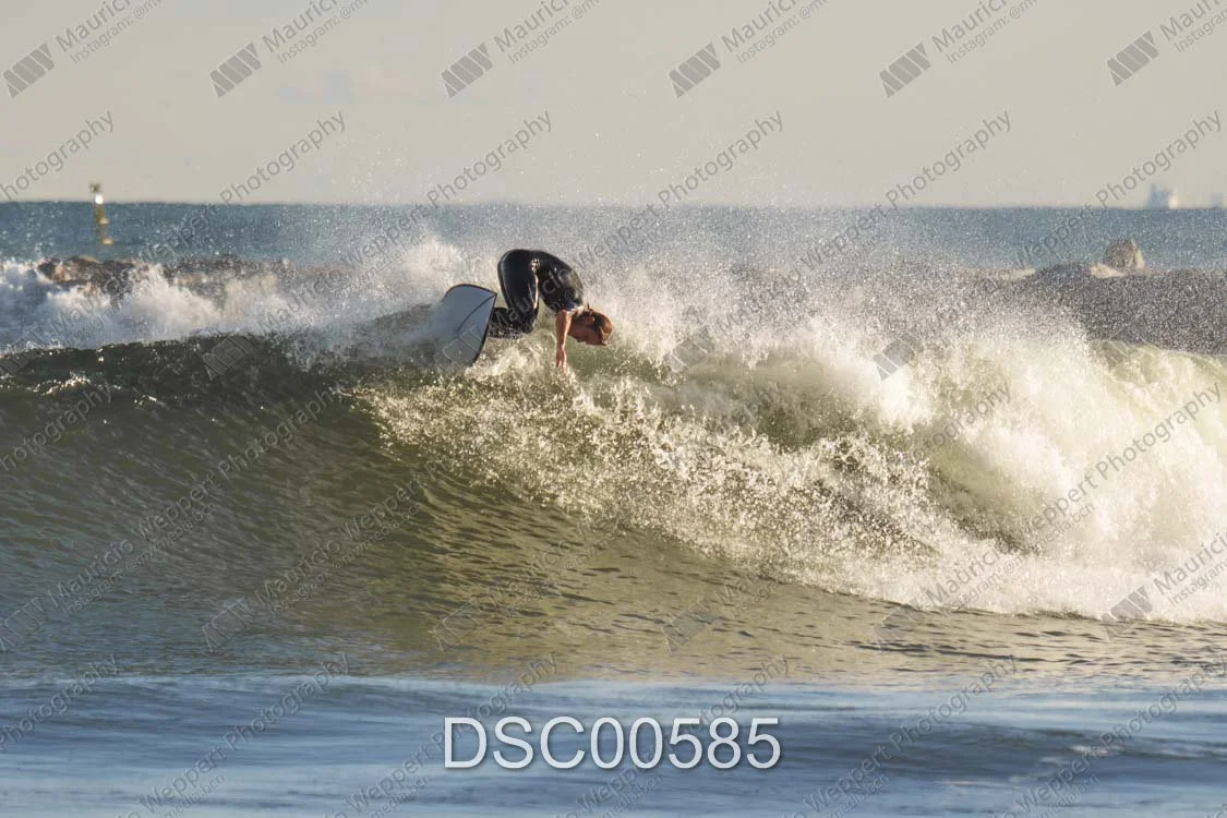 DSC00585.jpg