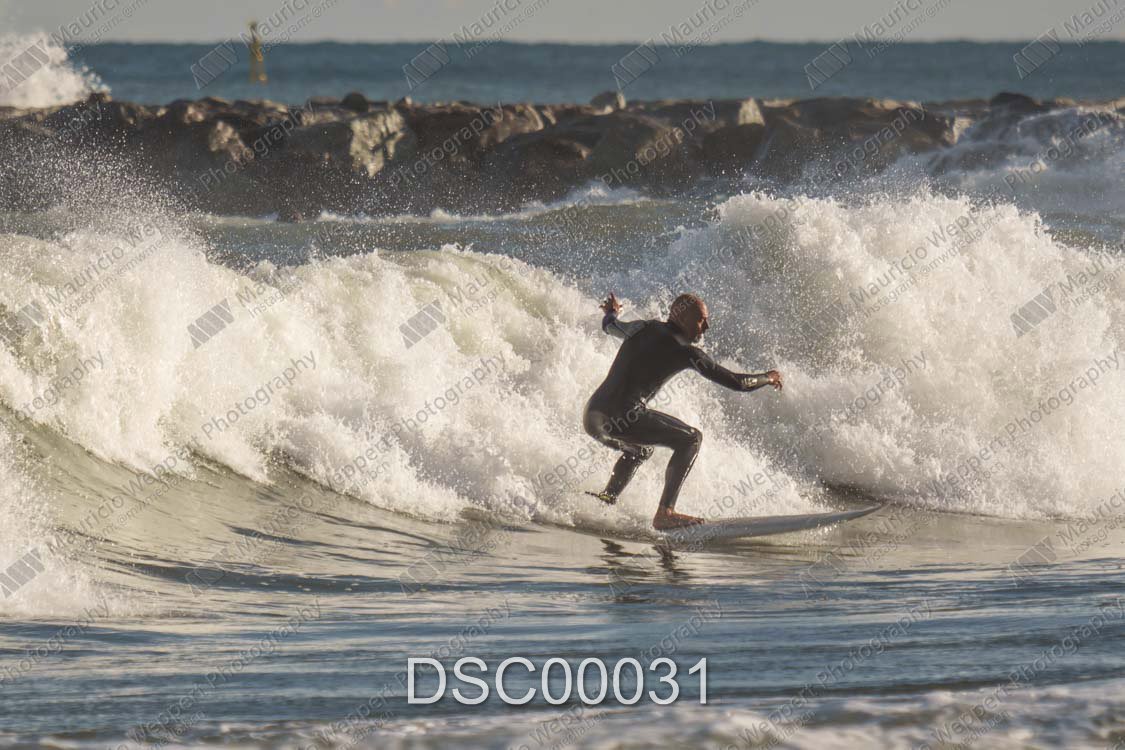 DSC00031.jpg