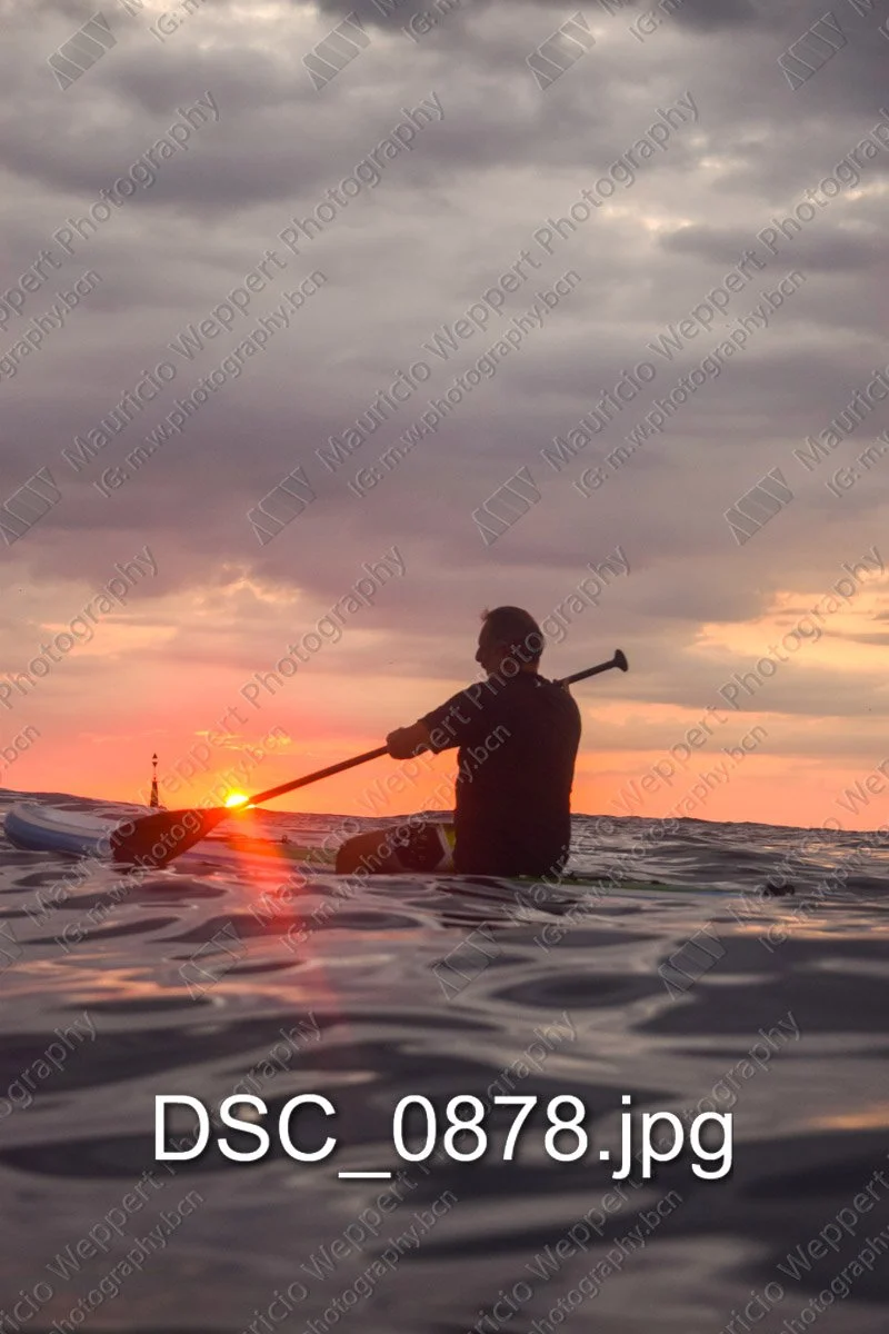 DSC_0878.jpg