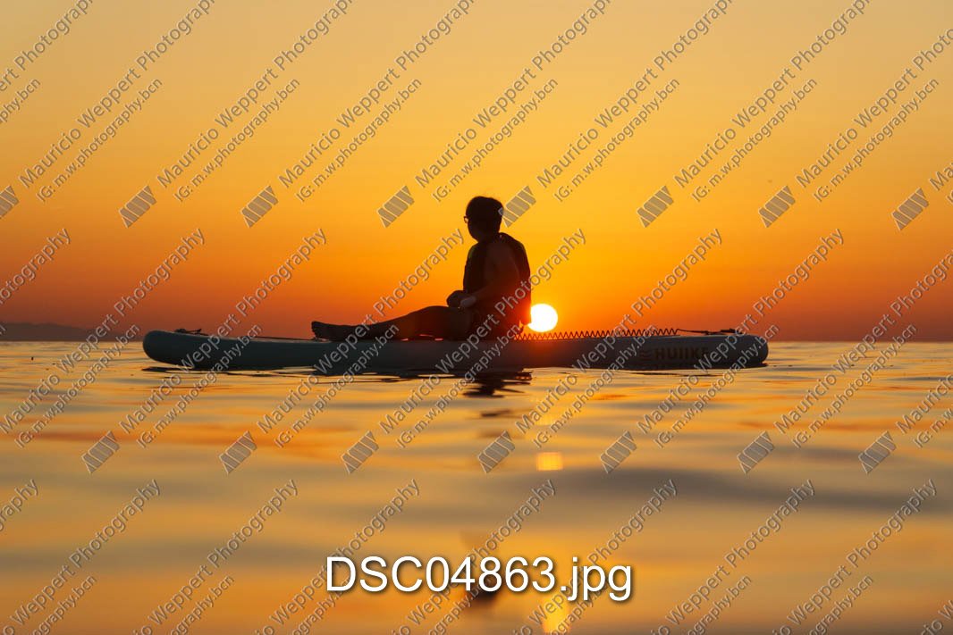 DSC04863.jpg