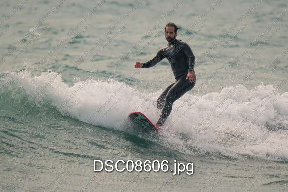 DSC08606.jpg