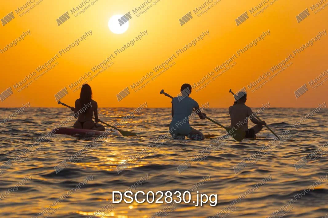 DSC02830.jpg