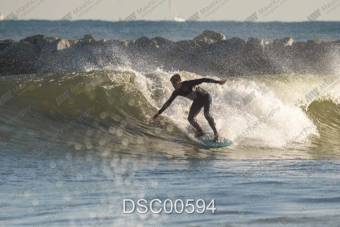 DSC00594.jpg