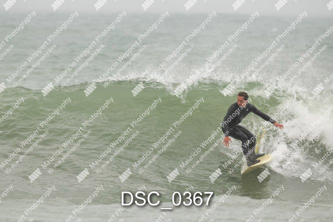 DSC_0367.jpg