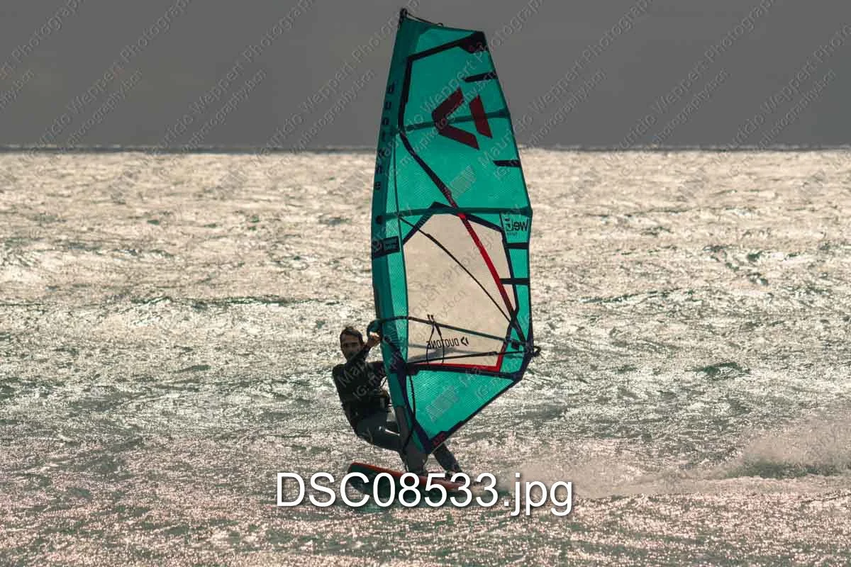 DSC08533.jpg