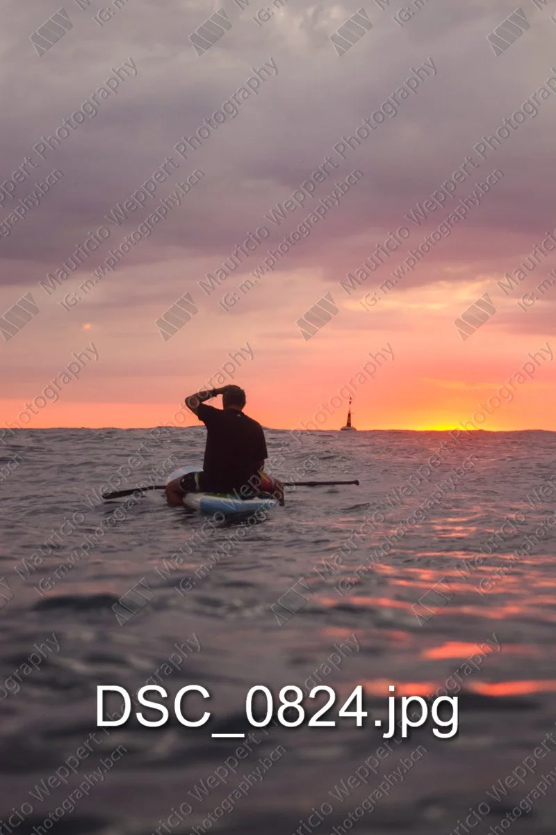 DSC_0824.jpg