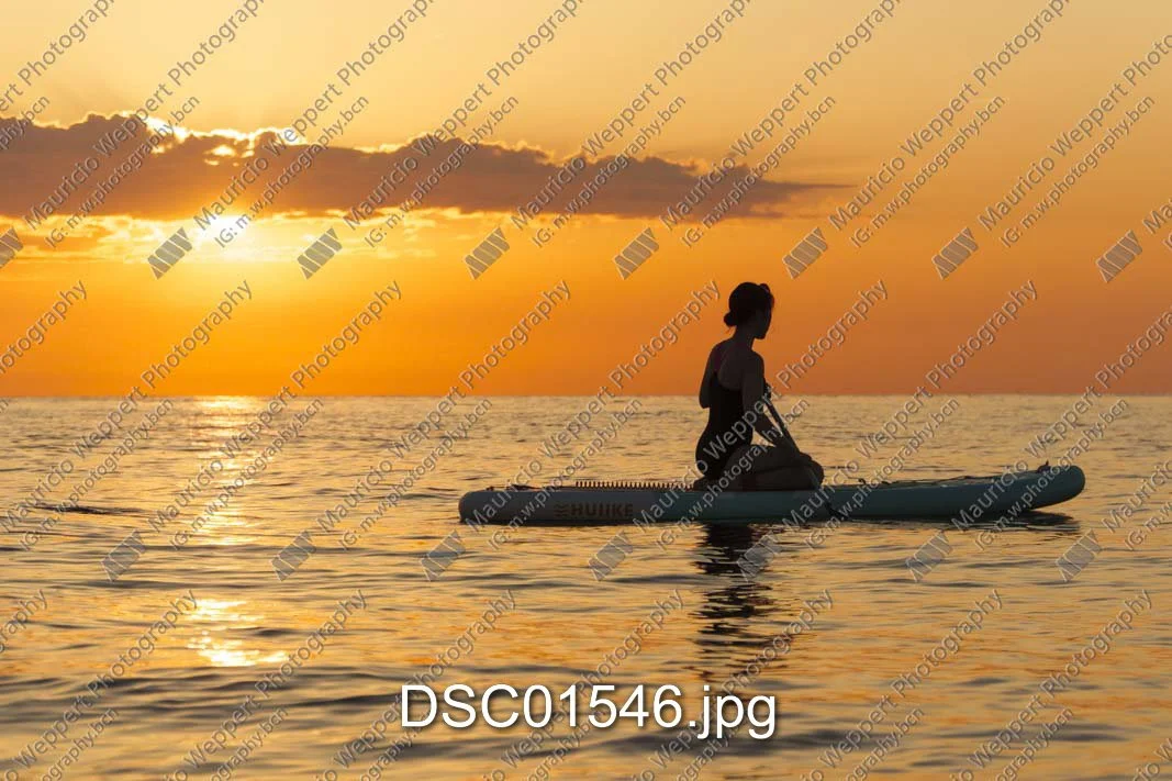 DSC01546.jpg