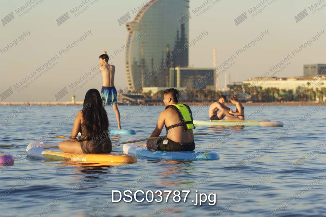 DSC03787.jpg