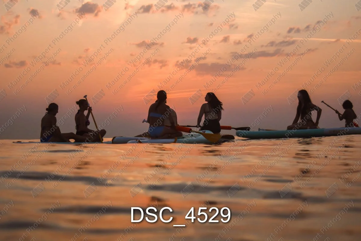 DSC_4529.jpg