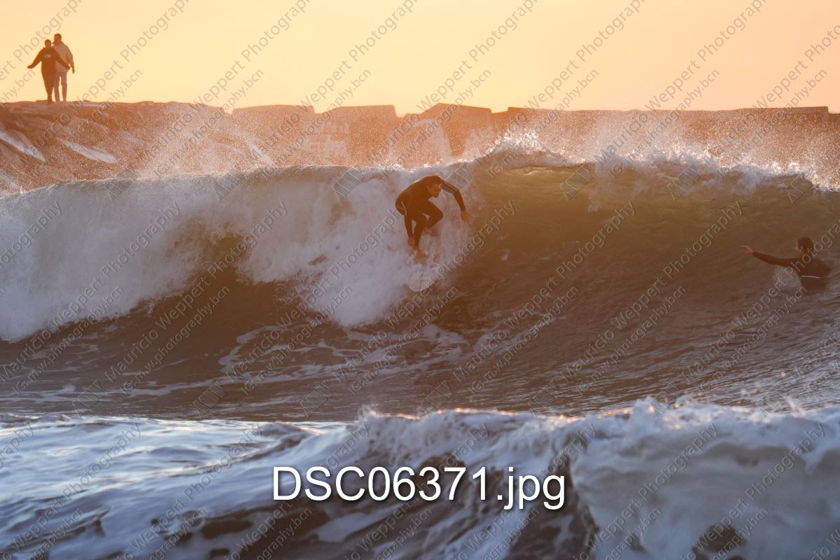 DSC06371.jpg