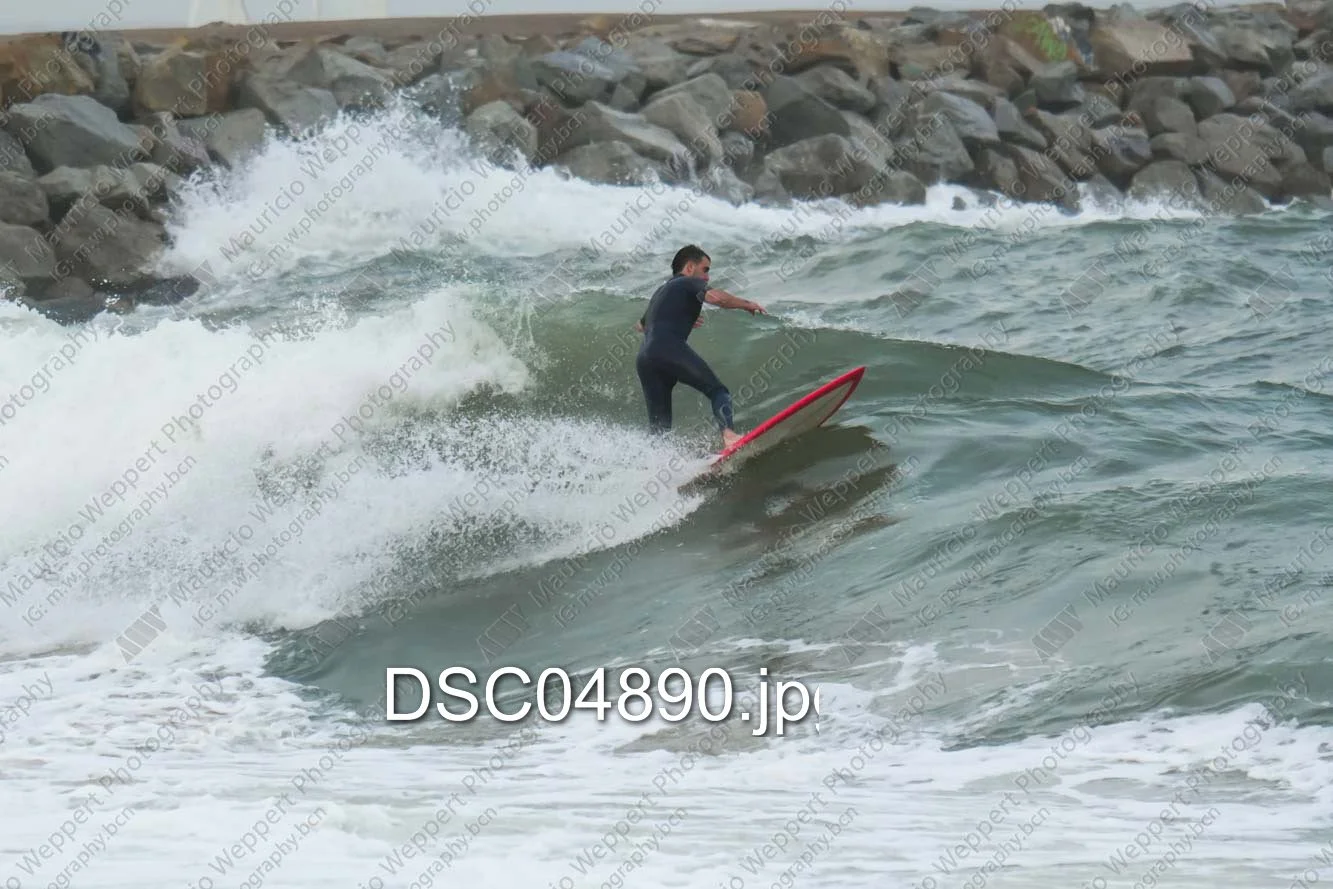DSC04890.jpg