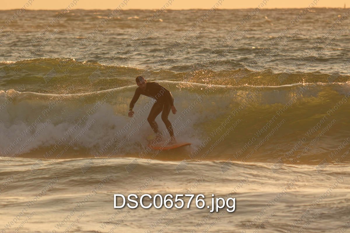 DSC06576.jpg
