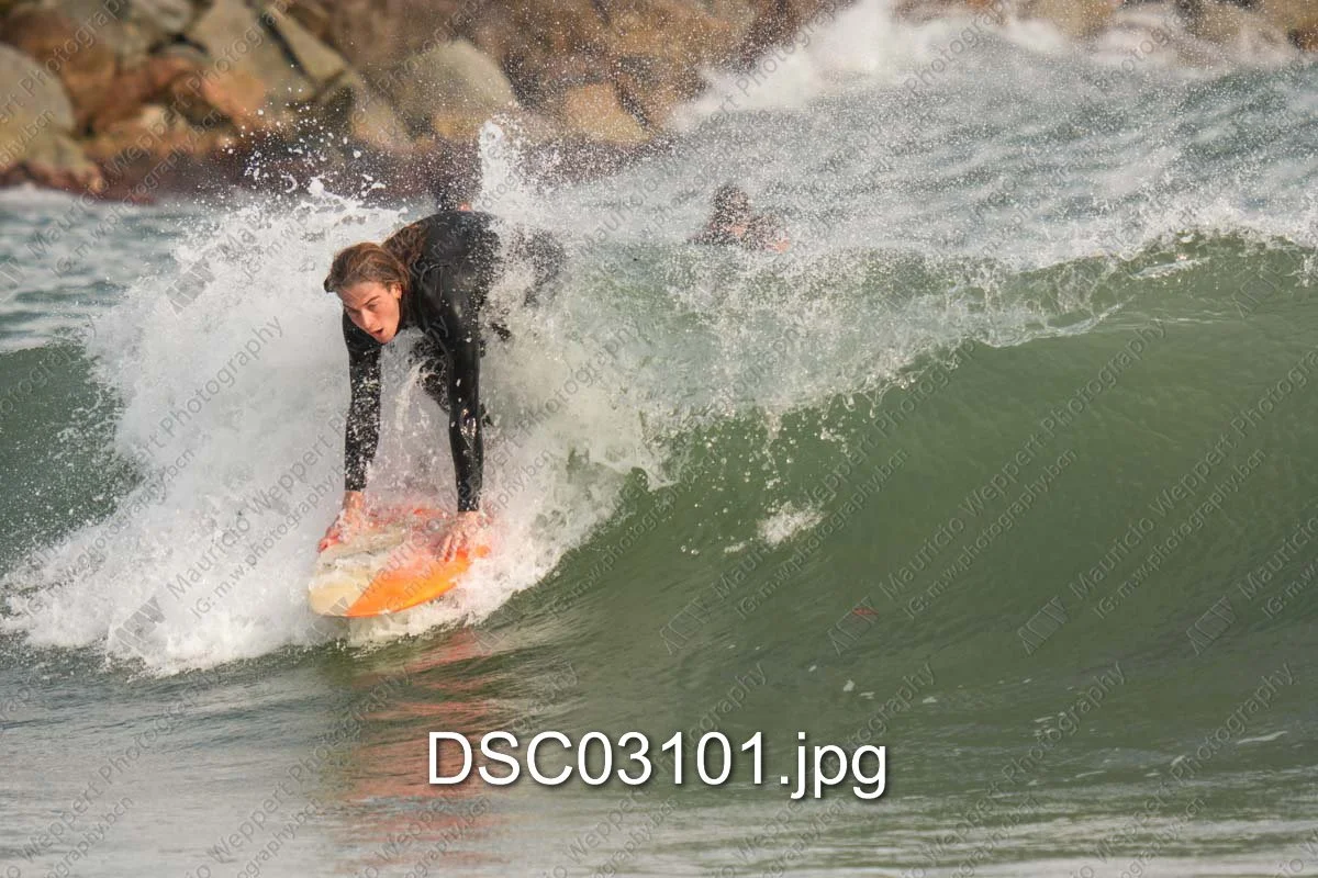 DSC03101.jpg