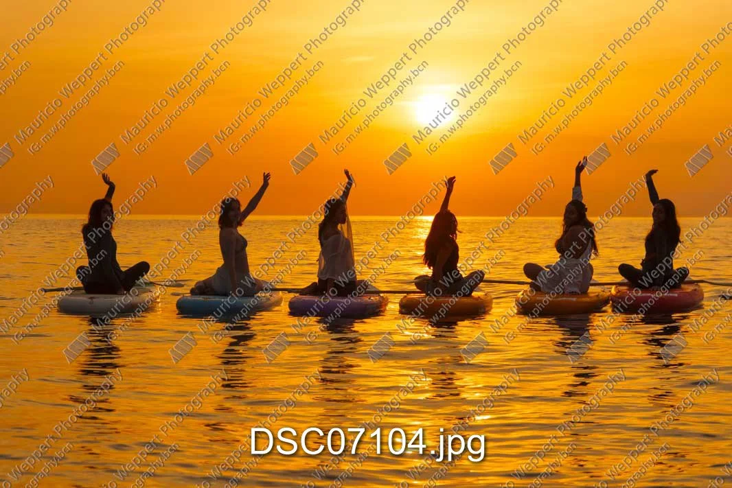 DSC07104.jpg