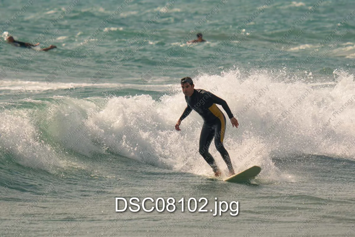DSC08102.jpg