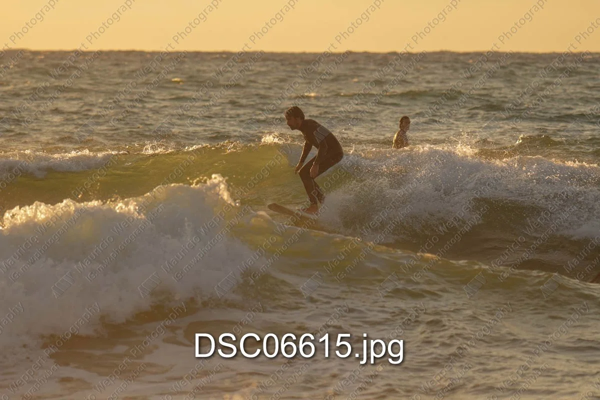 DSC06615.jpg