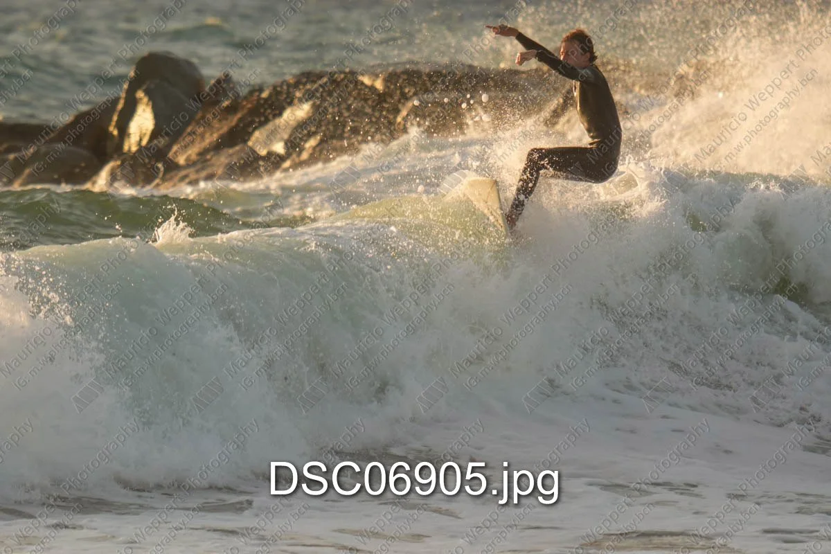 DSC06905.jpg