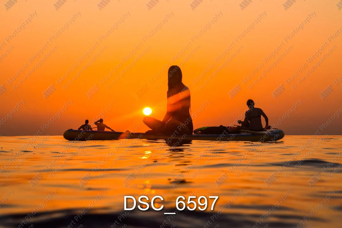 DSC_6597.jpg