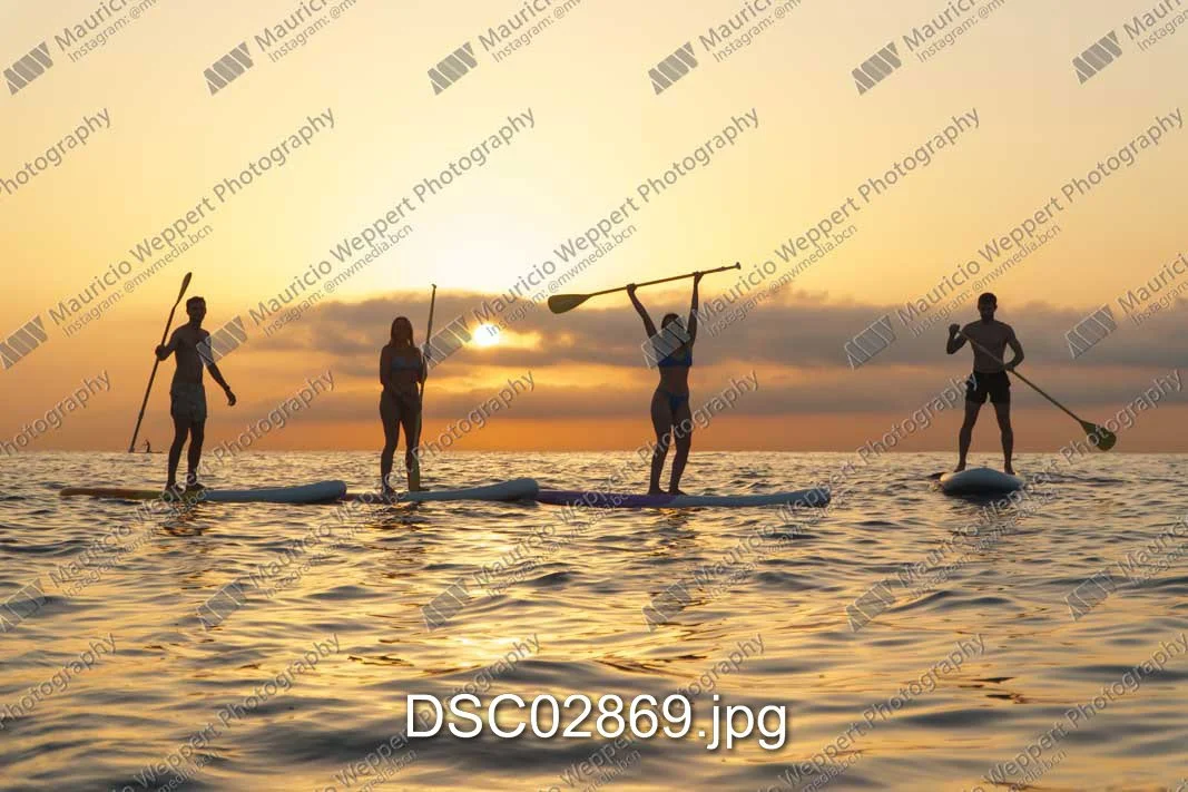 DSC02869.jpg