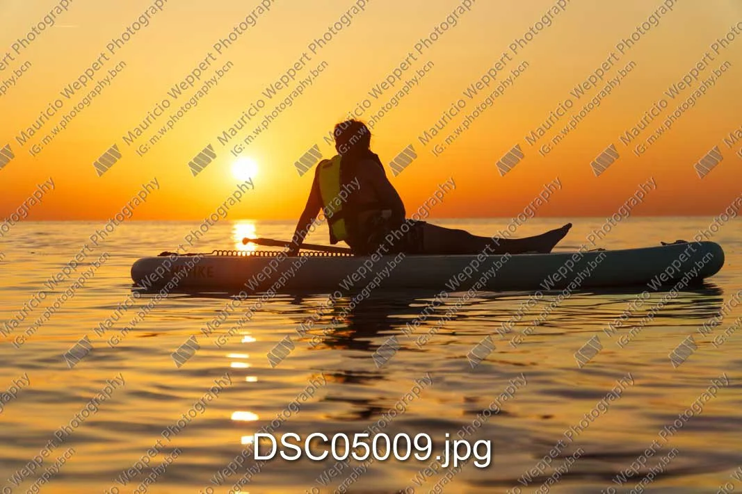 DSC05009.jpg