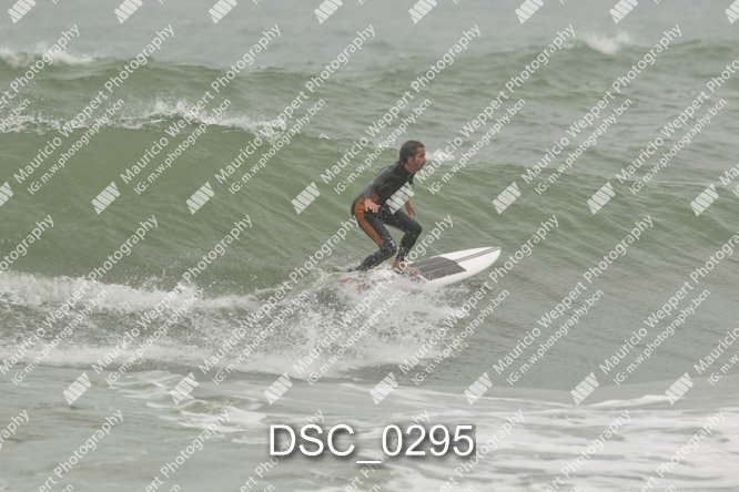 DSC_0295.jpg
