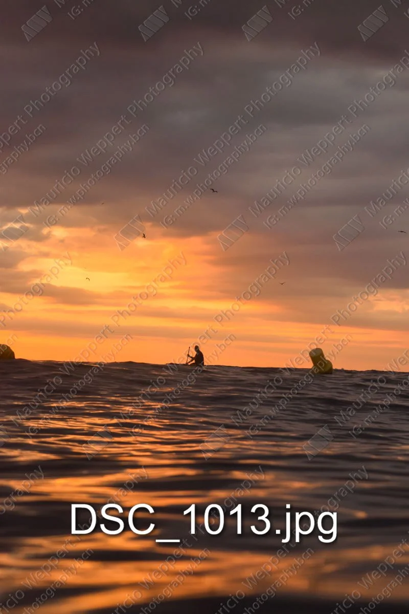 DSC_1013.jpg