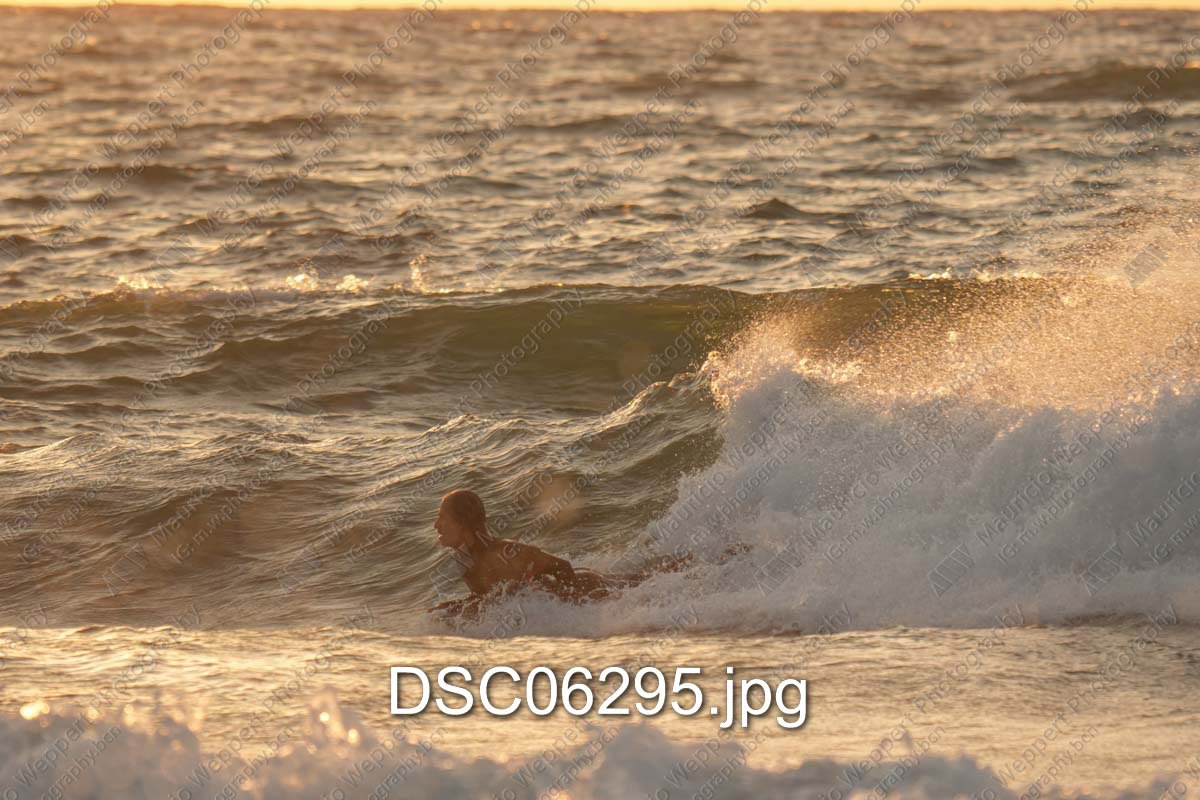 DSC06295.jpg