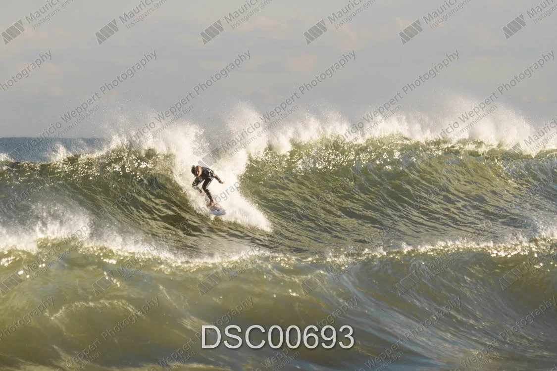 DSC00693.jpg