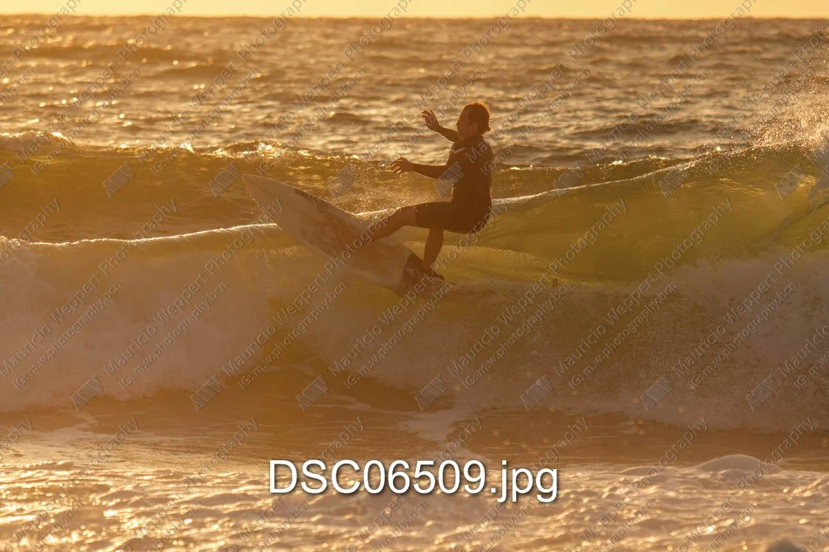DSC06509.jpg