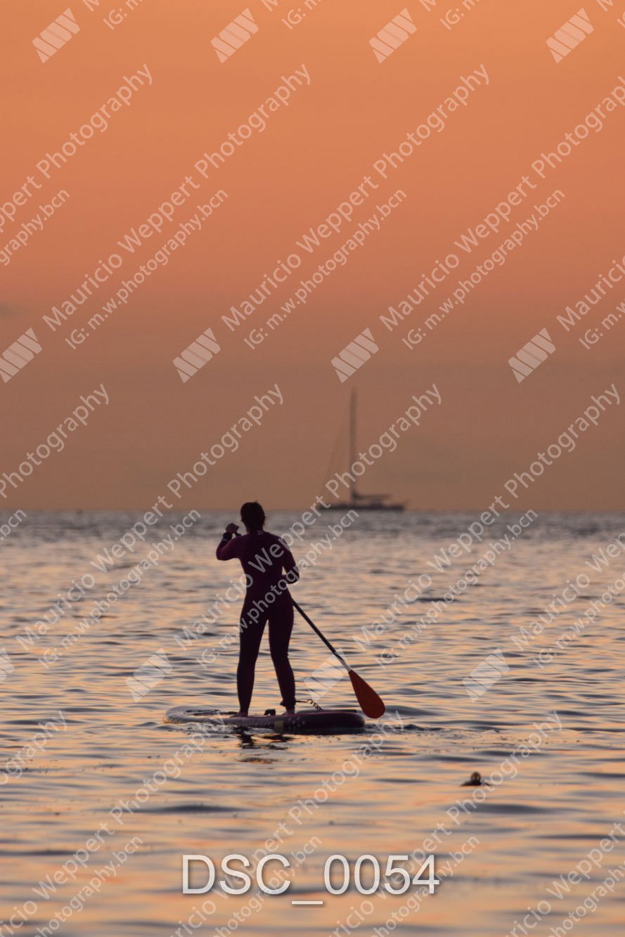 DSC_0054.jpg