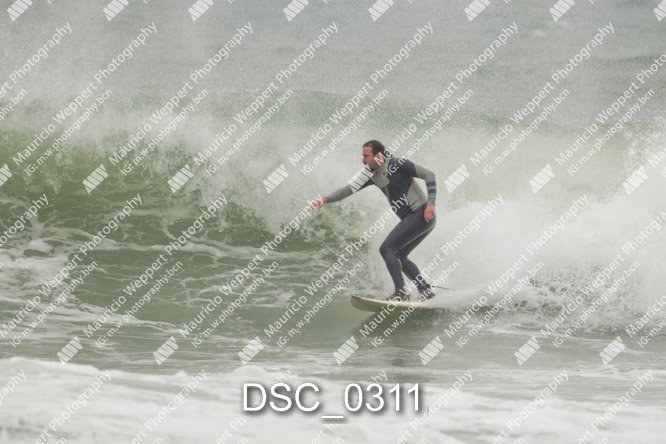 DSC_0311.jpg