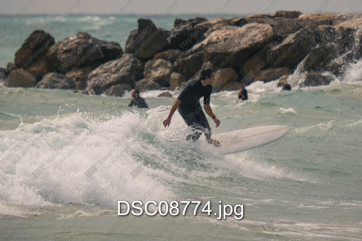 DSC08774.jpg