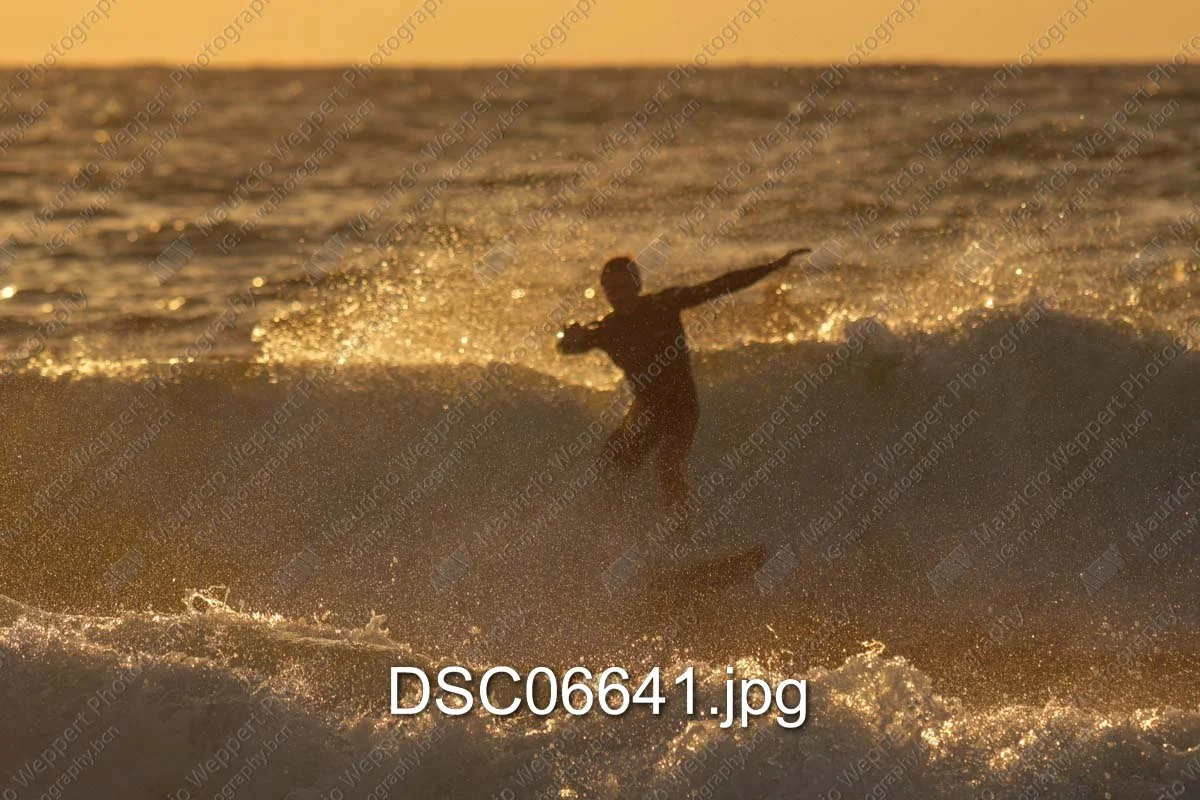 DSC06641.jpg