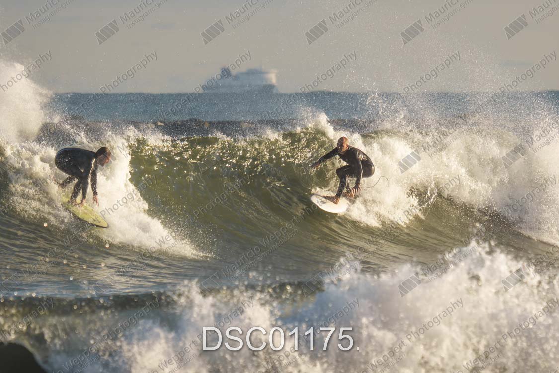 DSC01175.jpg