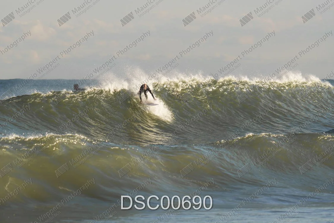DSC00690.jpg