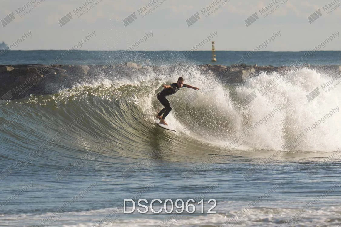 DSC09612.jpg