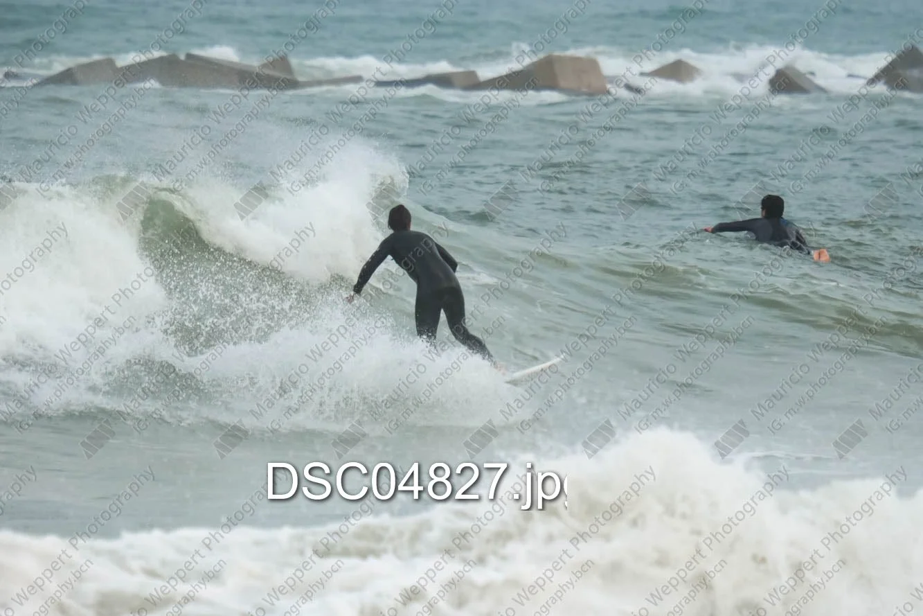 DSC04827.jpg
