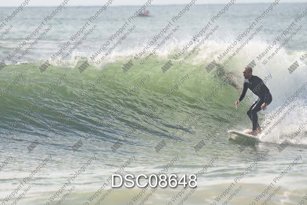 DSC08648.jpg