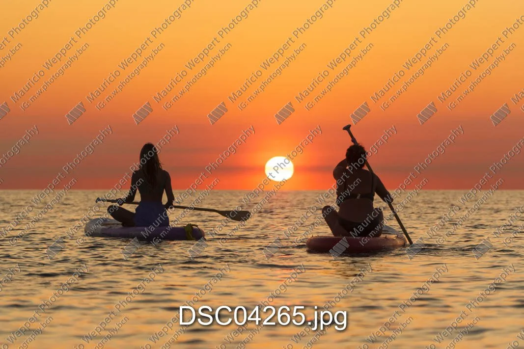 DSC04265.jpg