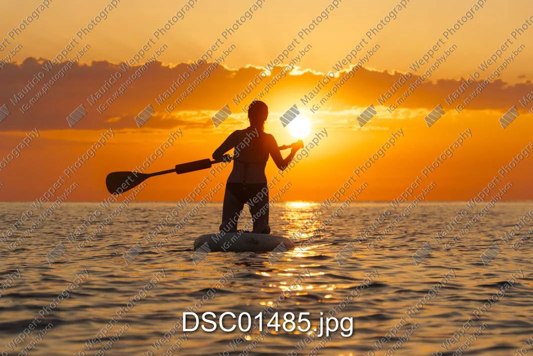 DSC01485.jpg