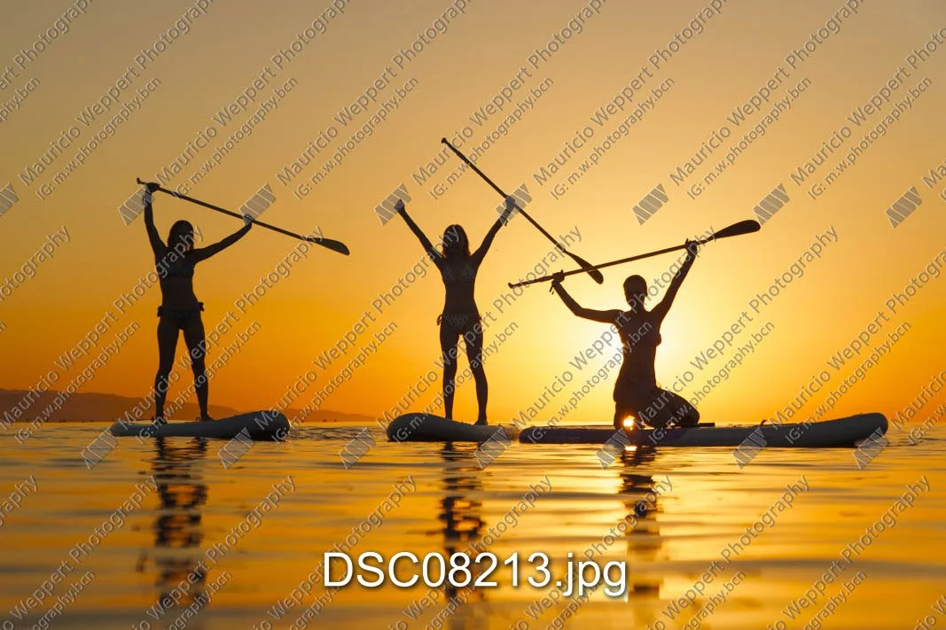 DSC08213.jpg