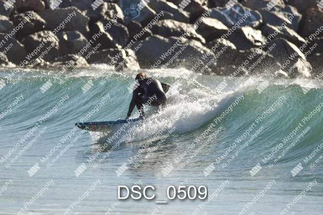 DSC_0509.jpg