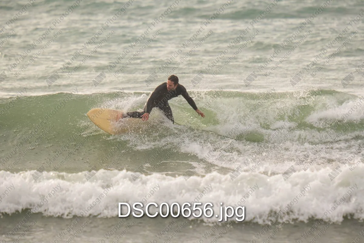 DSC00656.jpg