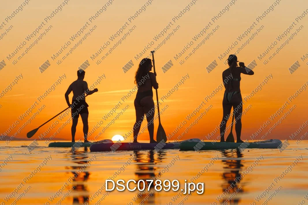 DSC07899.jpg